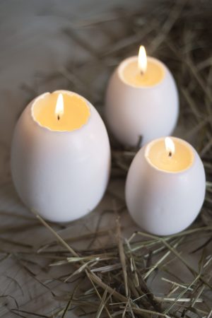 ANDÄGG vita med gula i - Bild 2
