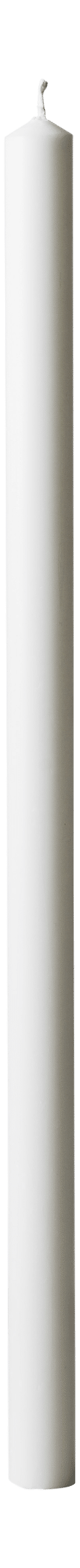 Altarspira 24x500mm 100% stearin