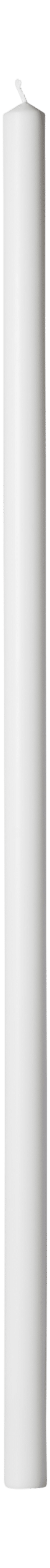 Altarspira 24x800mm 100% stearin